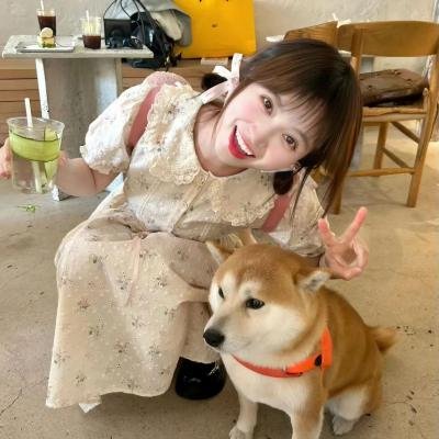 公众之眼