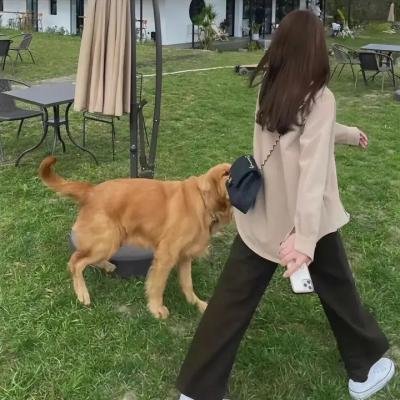 铁丝中的风